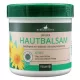 Herbamedicus_árnika
